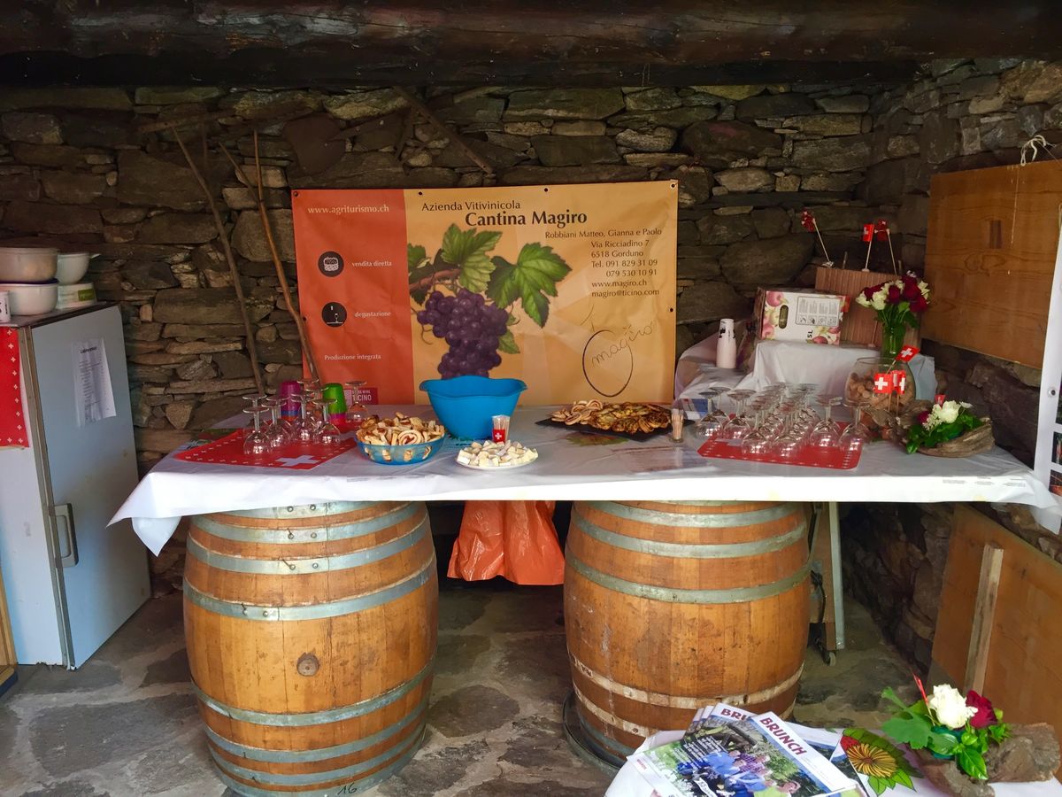 Brunch in vigna alla Cantina MaGiRo