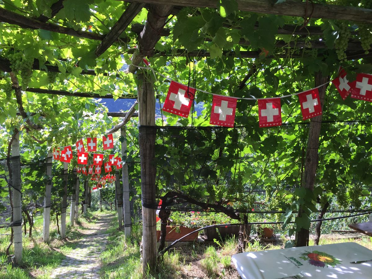 Brunch in vigna alla Cantina MaGiRo