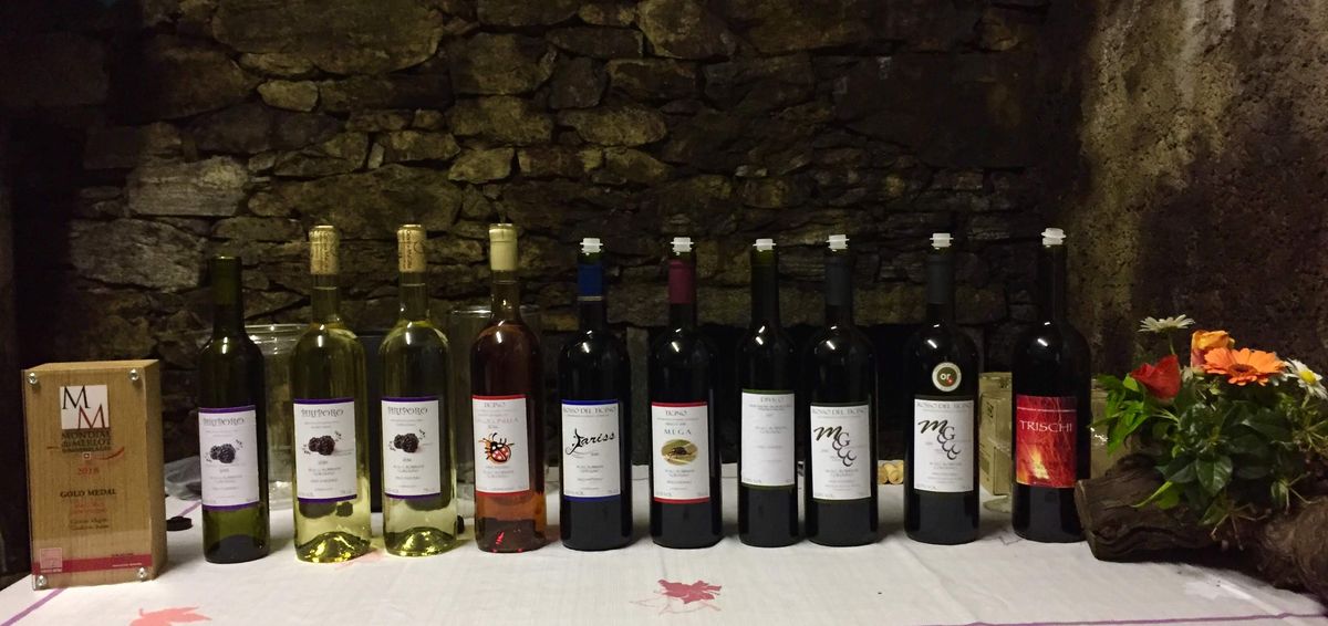 Degustazione alla Cantina MaGiRo
